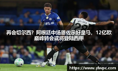 再会切尔西？阿根廷中场恩佐示好皇马，12亿欧巅峰转会或将登陆西甲